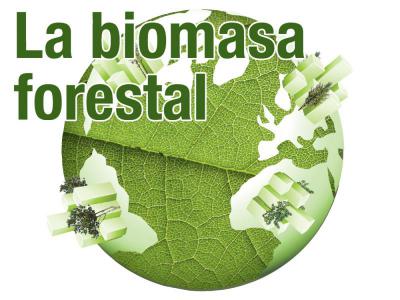 La biomasa forestal.