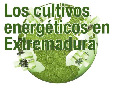 Los cultivos energéticos en Extremadura.