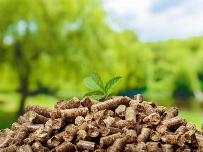 La Diputación de Badajoz saca a licitación un acuerdo marco para el suministro de pellets en municipios de la provincia