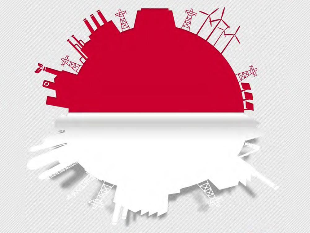 Aprovechamiento energético del residuo ganadero.
