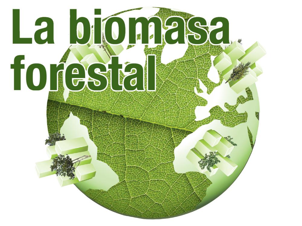 La biomasa forestal.